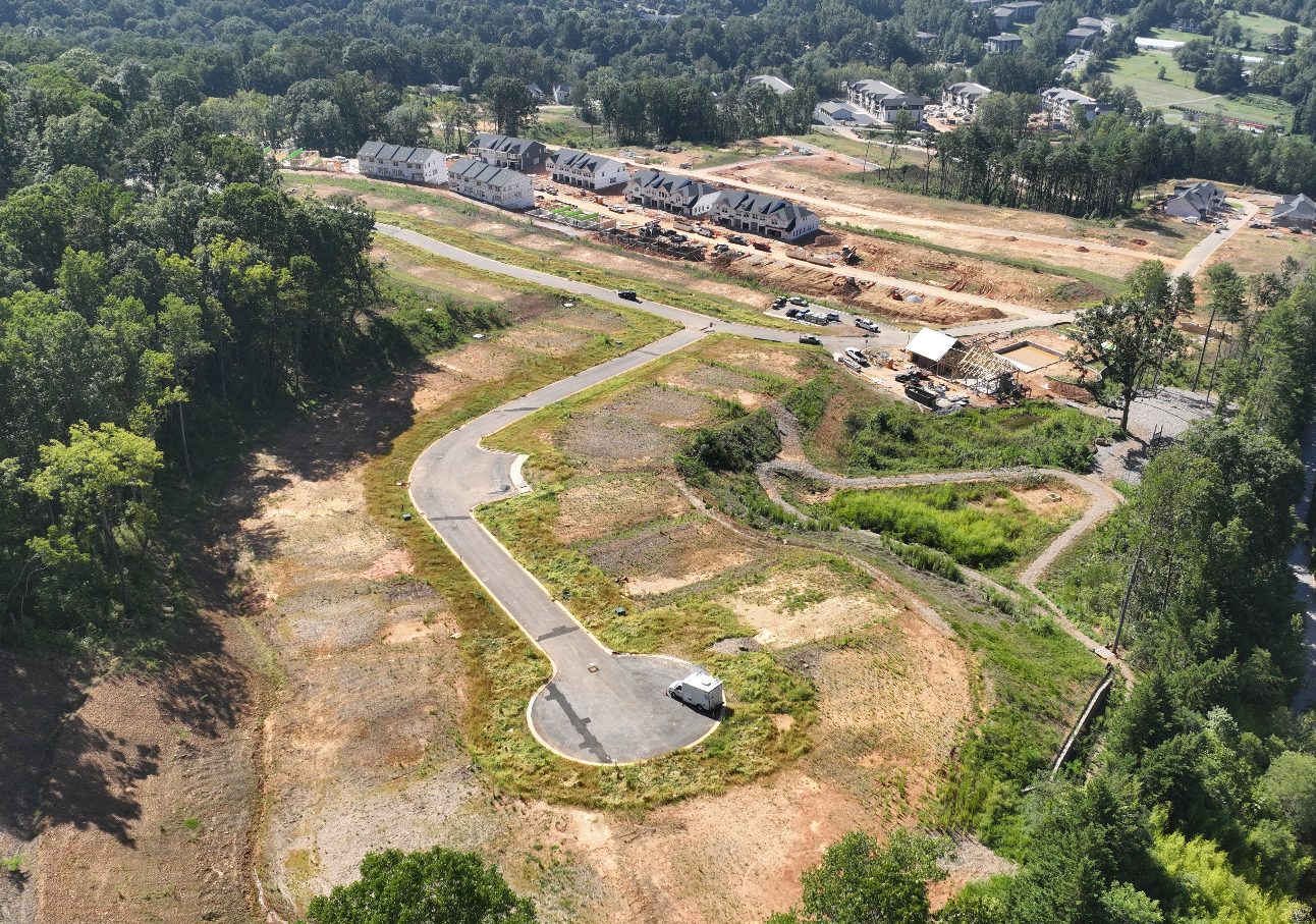 The Wilds at Cedar Mountain aerial